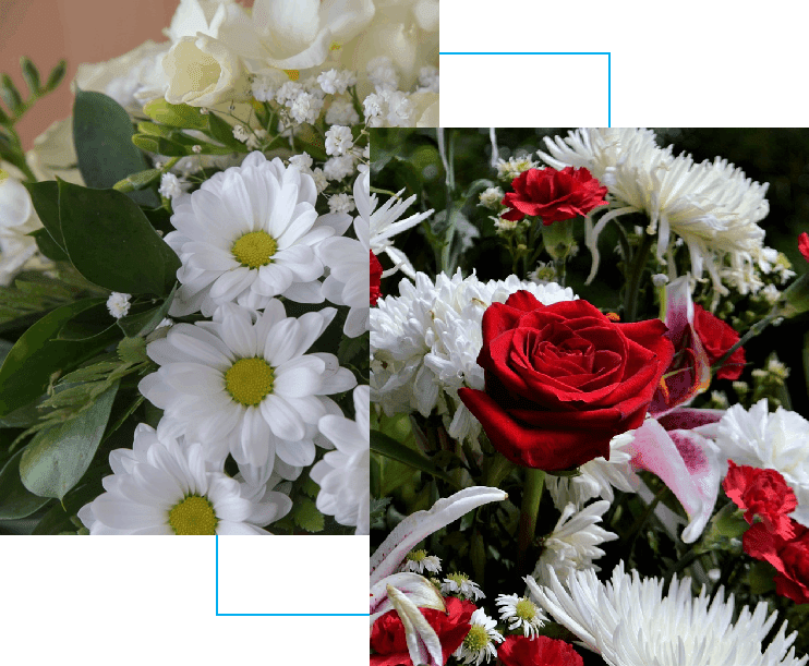 A collage of flowers with a blue border