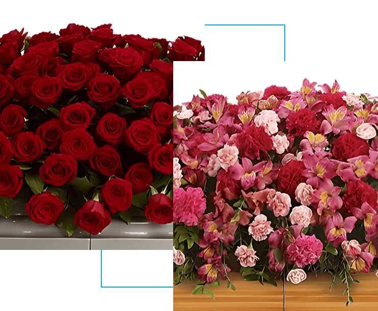 Two pictures of roses and other flowers.