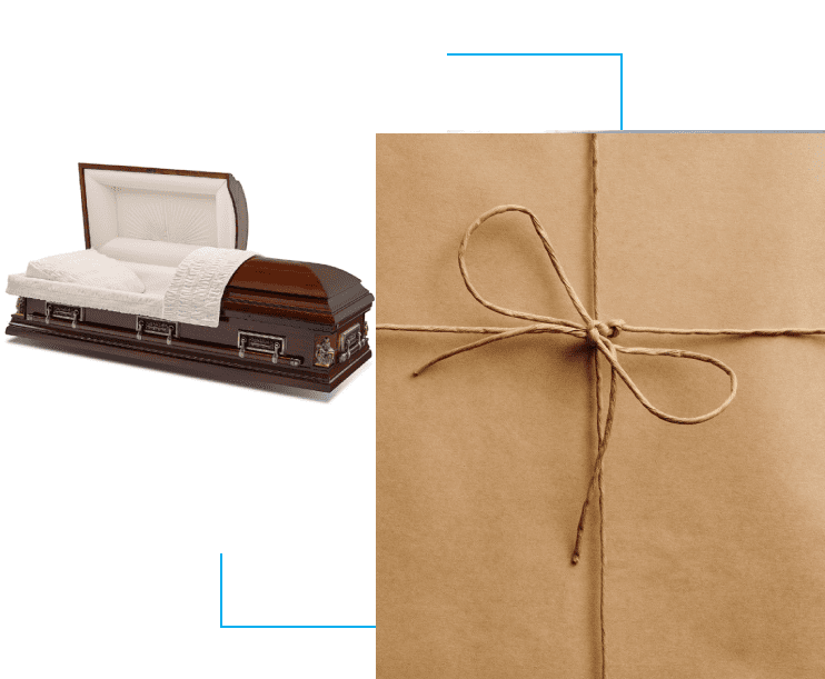 A cardboard box and casket with a bow.